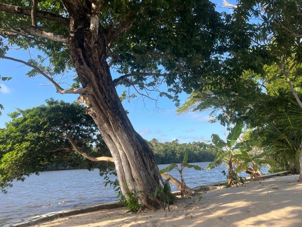 Pousada Paraiso Cultural Barreirinhas Buitenkant foto