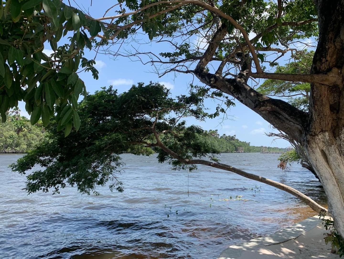 Pousada Paraiso Cultural Barreirinhas Buitenkant foto