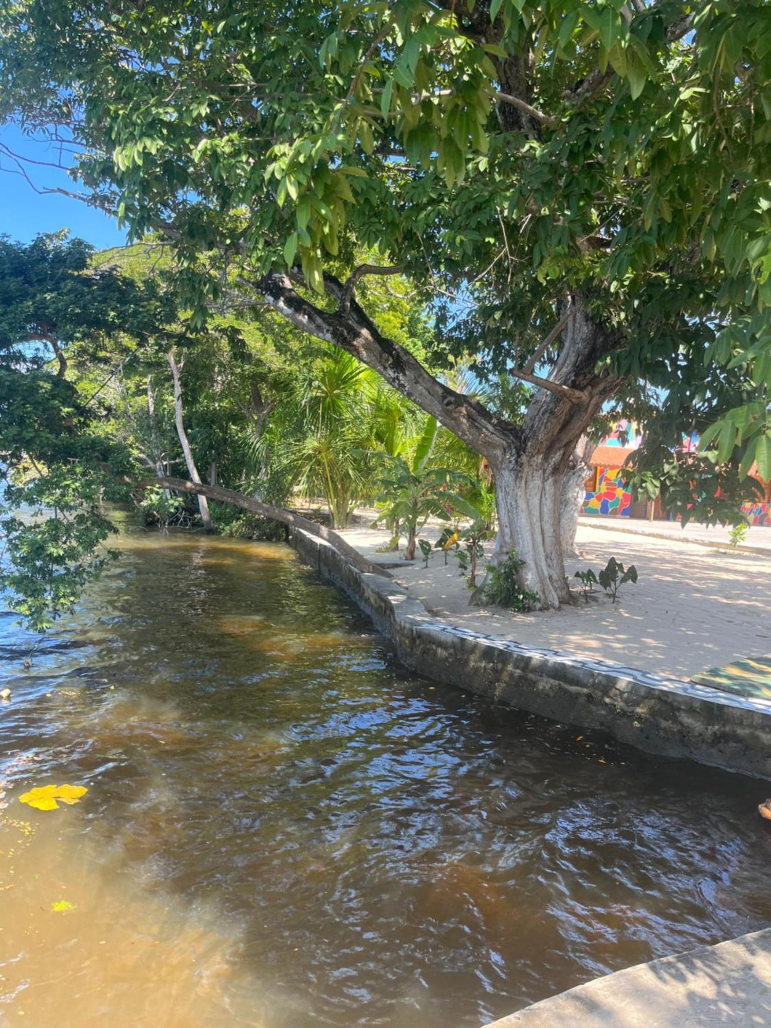Pousada Paraiso Cultural Barreirinhas Buitenkant foto